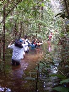 Hiking through the jungles of the Amazon Heliconia