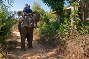 Riding elephants in Thailand