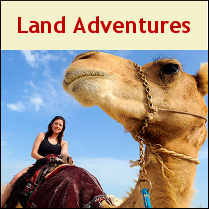 Adventures you'll find on land