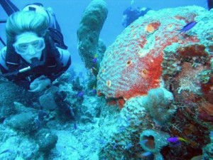 Scuba diving the MesoAmerican Reef