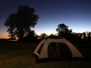 Camping out in the wild 