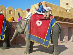 Elephant rides in India