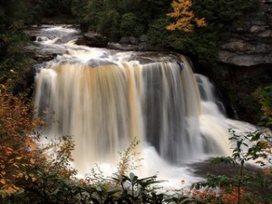 Blackwater Falls State Park