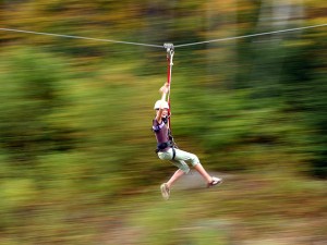 Zipline canopy tour