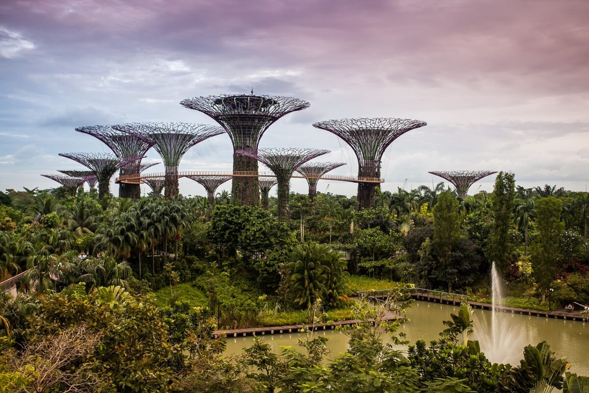 Singapore Adventures
