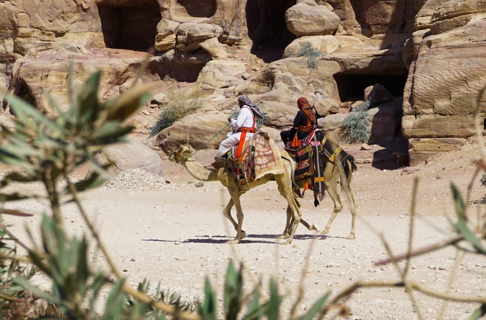 Camel Riding Adventure - Petra, Jordan