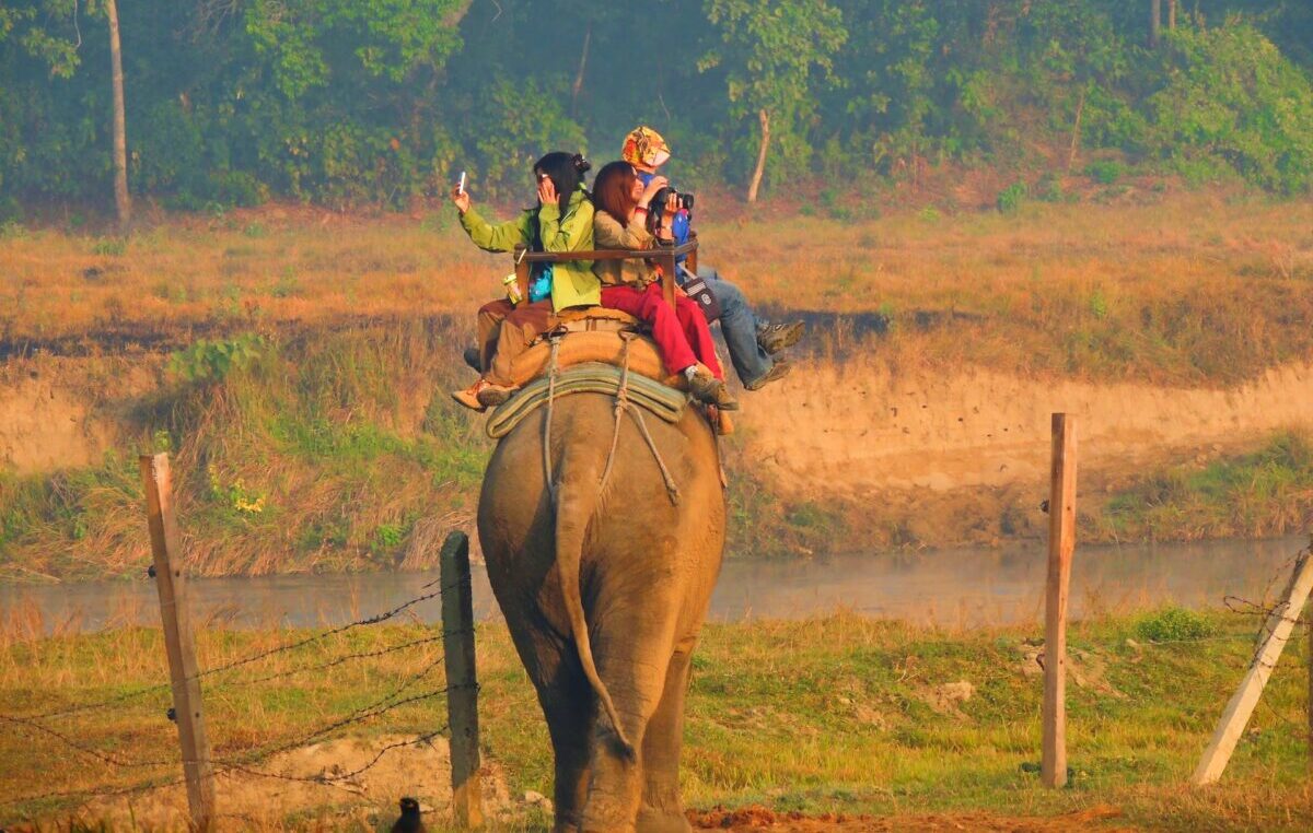 Elephant Riding - Chitwan National Park, Subarnapur, Nepal